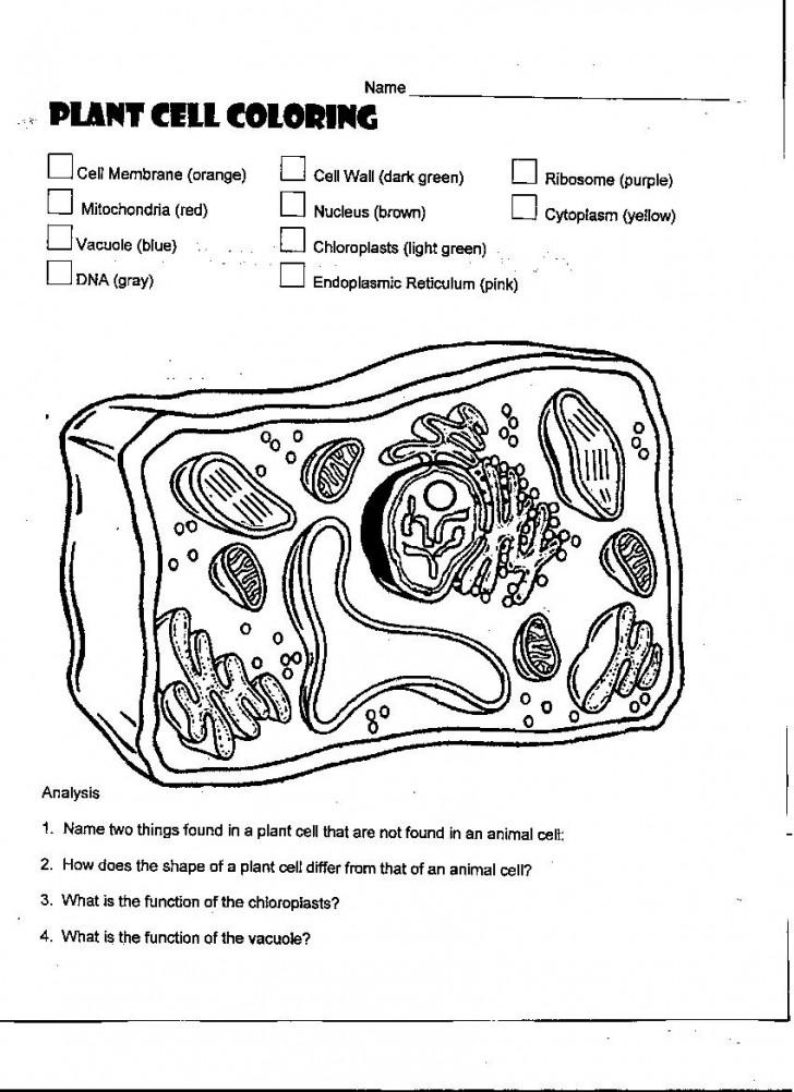 63 Label Plant Cell Worksheets 2