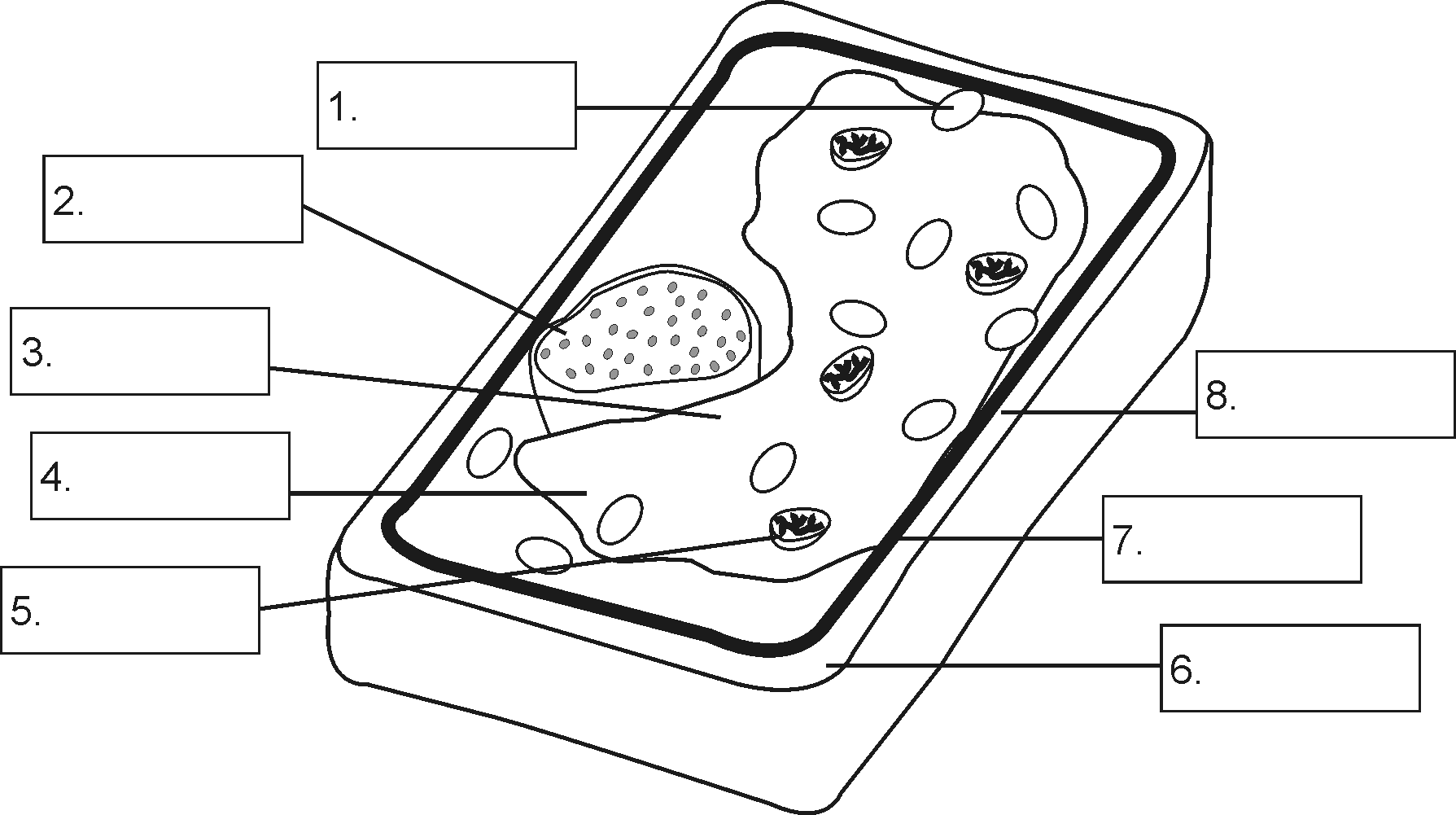 63 Label Plant Cell Worksheets 20