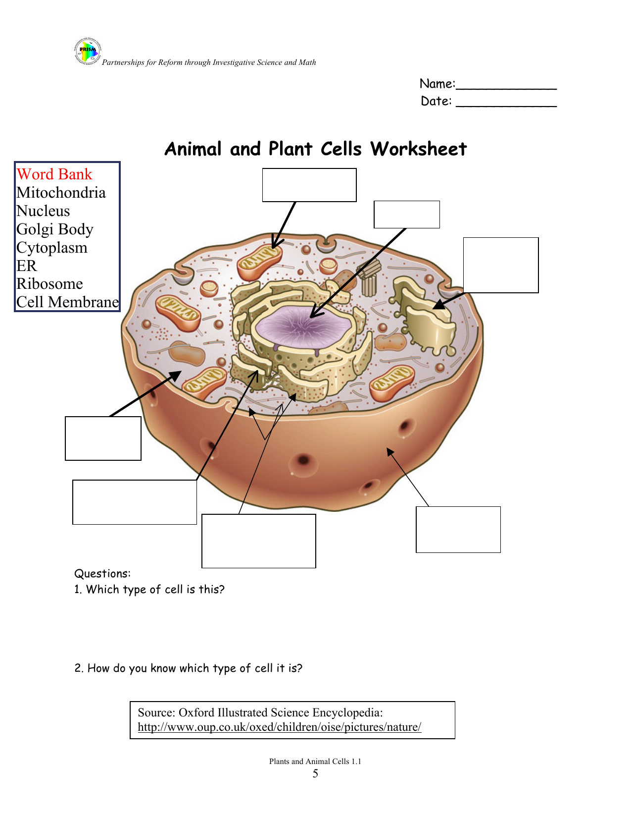 63 Label Plant Cell Worksheets 40