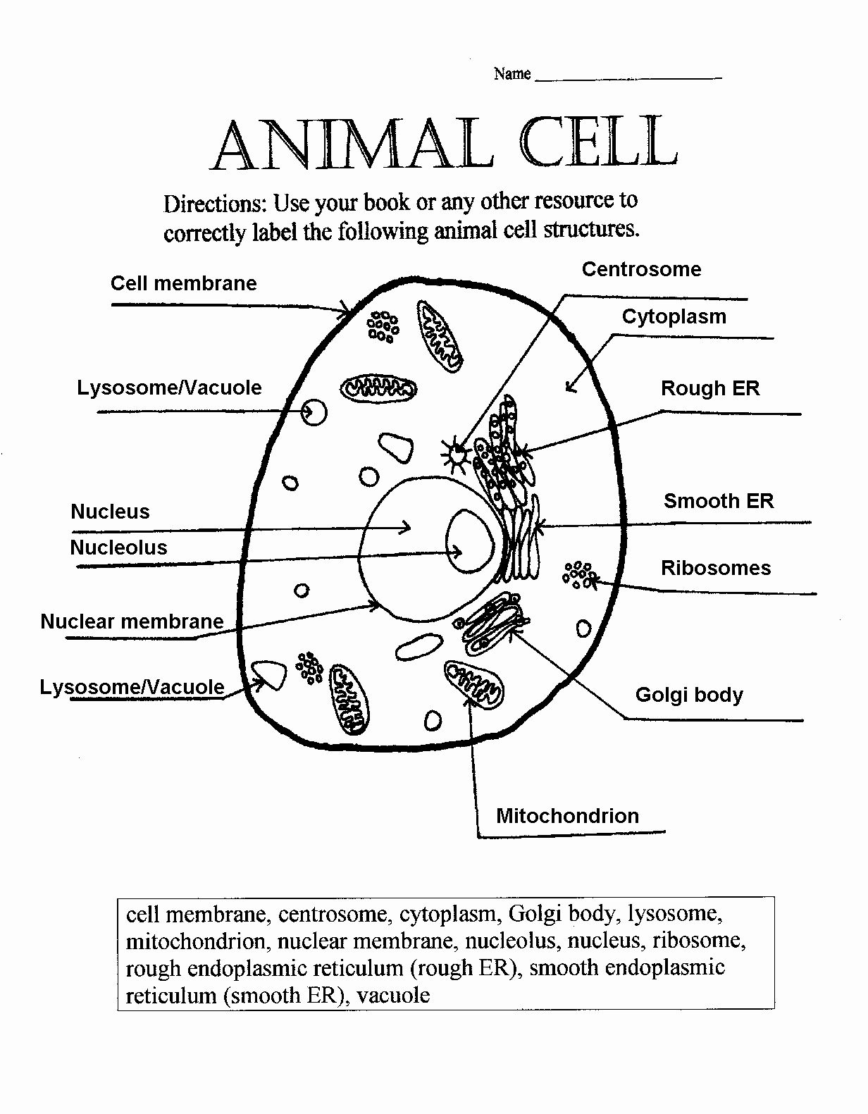 63 Label Plant Cell Worksheets 51