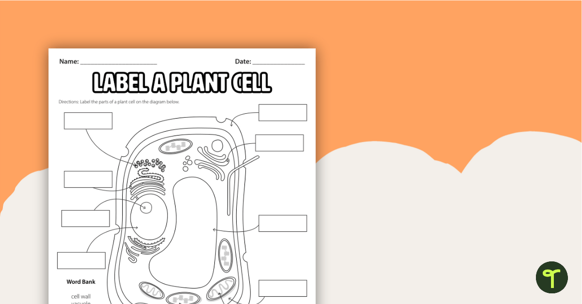 63 Label Plant Cell Worksheets 60