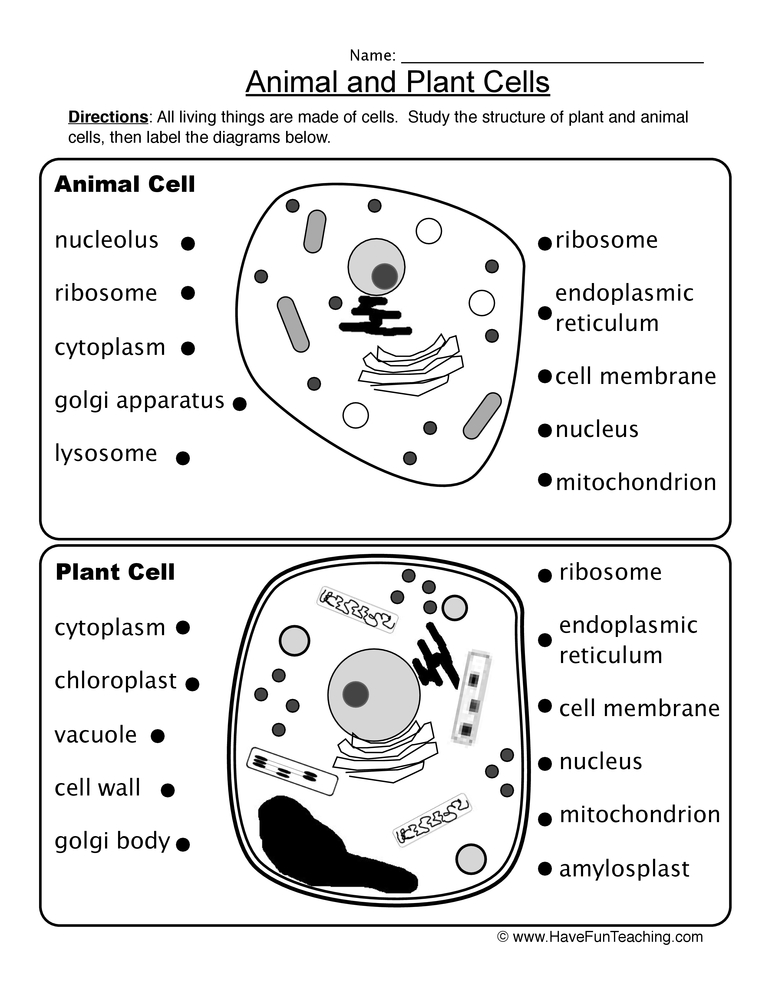 63 Label Plant Cell Worksheets 63