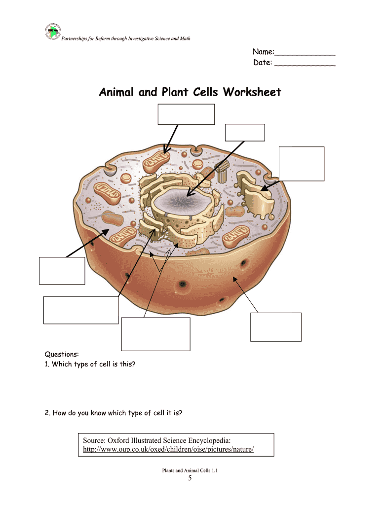 63 Label Plant Cell Worksheets 66