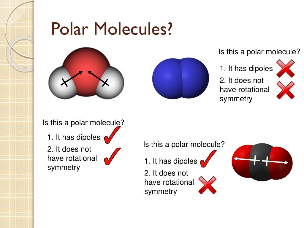 Save 62+ Polarity Of Molecules Worksheets 10