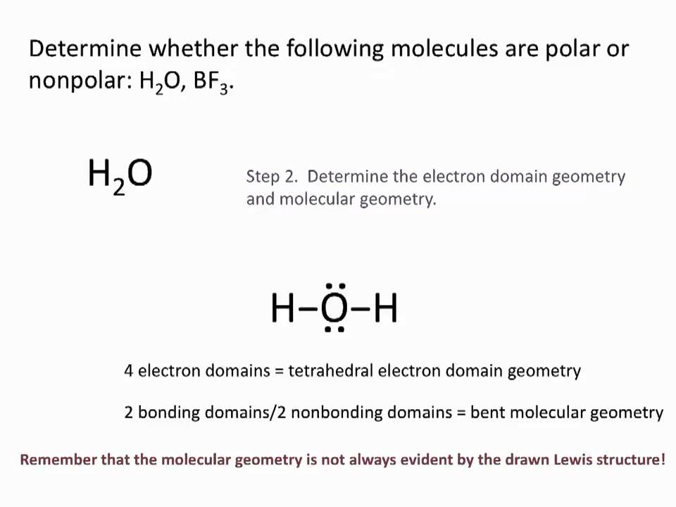 Save 62+ Polarity Of Molecules Worksheets 39