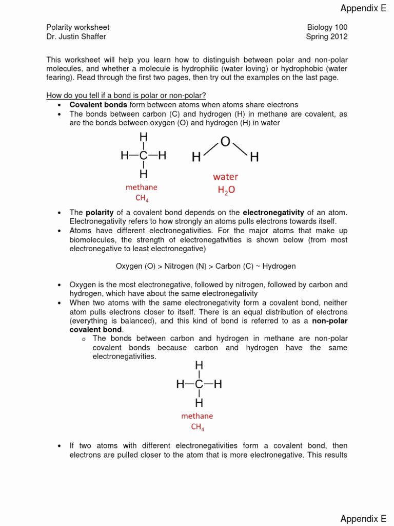 Save 62+ Polarity Of Molecules Worksheets 4