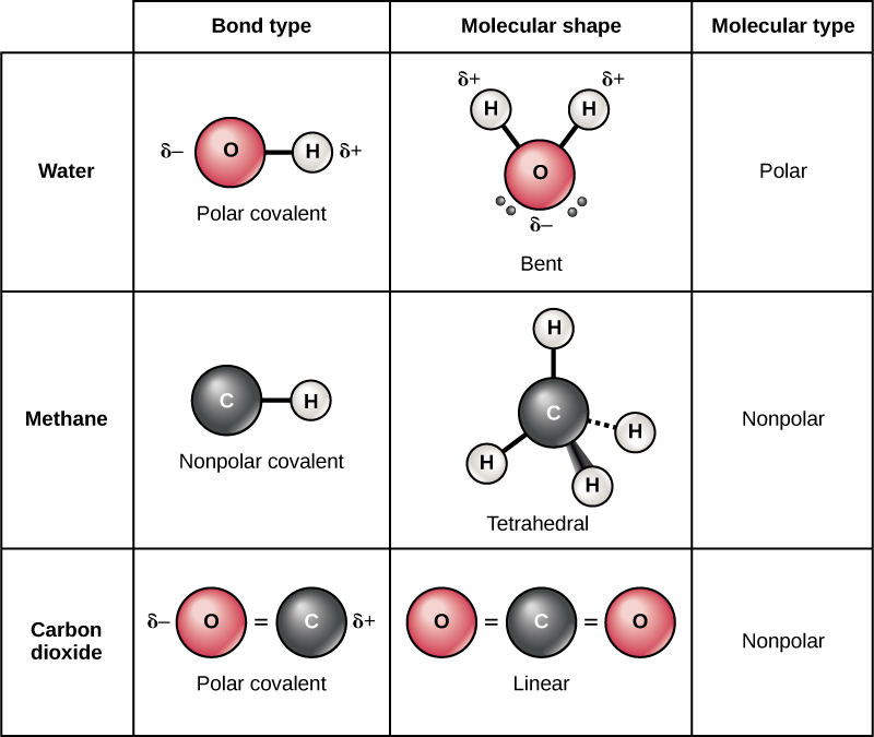 Save 62+ Polarity Of Molecules Worksheets 55