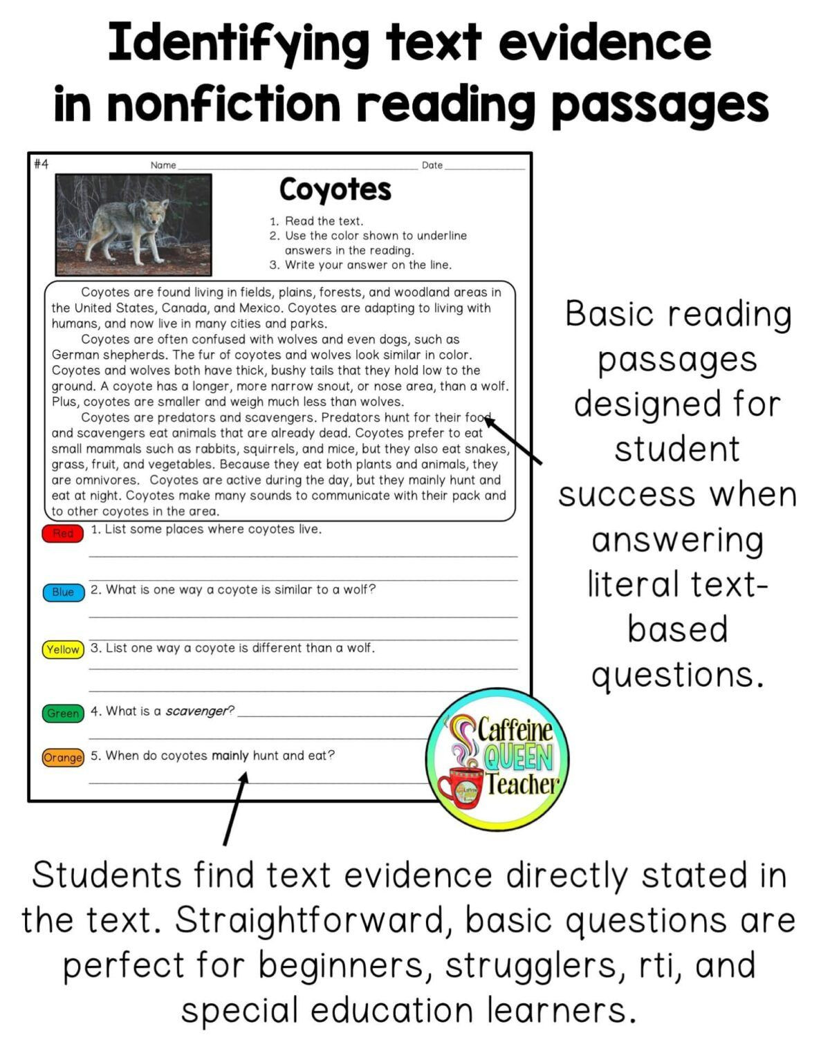 50 Citing Text Evidence Worksheets 31