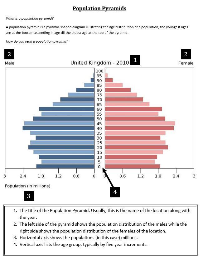 50 Population Pyramids Worksheets Answers 1