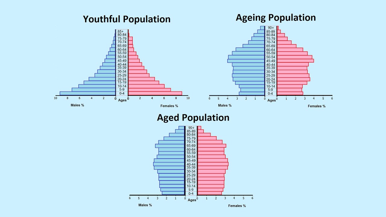 50 Population Pyramids Worksheets Answers 12