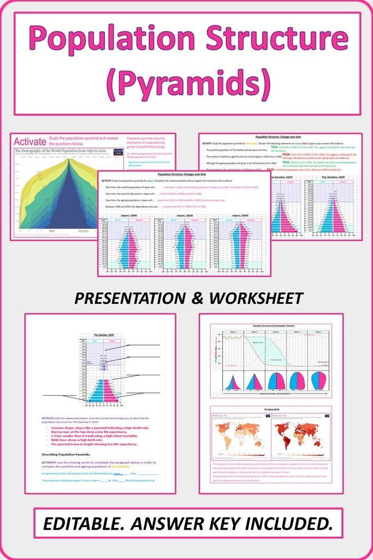 50 Population Pyramids Worksheets Answers 2