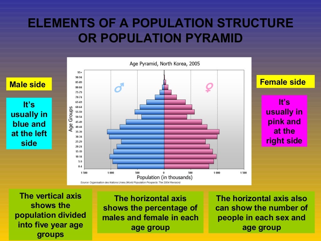 50 Population Pyramids Worksheets Answers 21