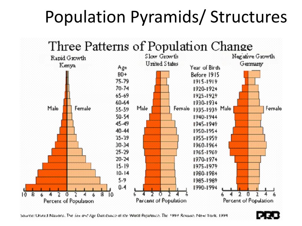 50 Population Pyramids Worksheets Answers 43