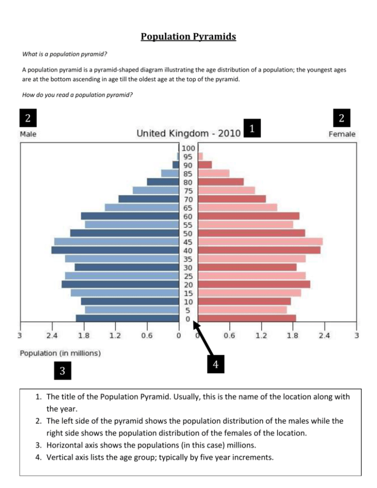 50 Population Pyramids Worksheets Answers 46