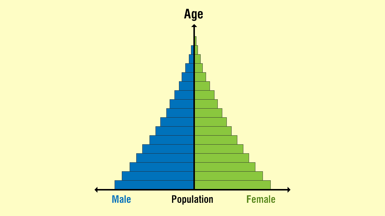 50 Population Pyramids Worksheets Answers 5