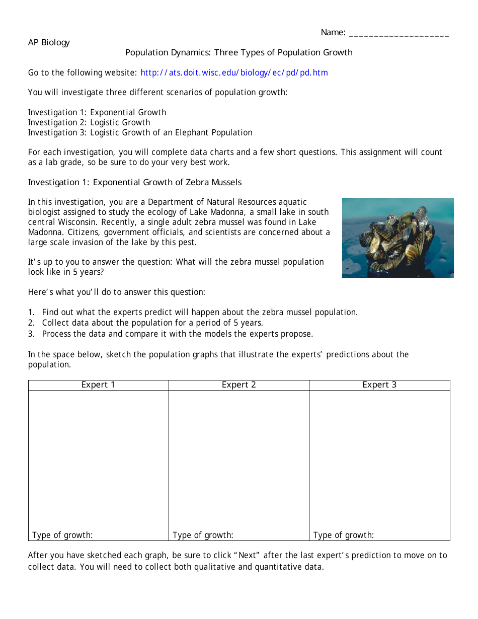 50 Population Pyramids Worksheets Answers 51