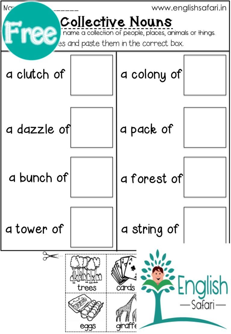 55 Worksheets Of Collective Noun 16