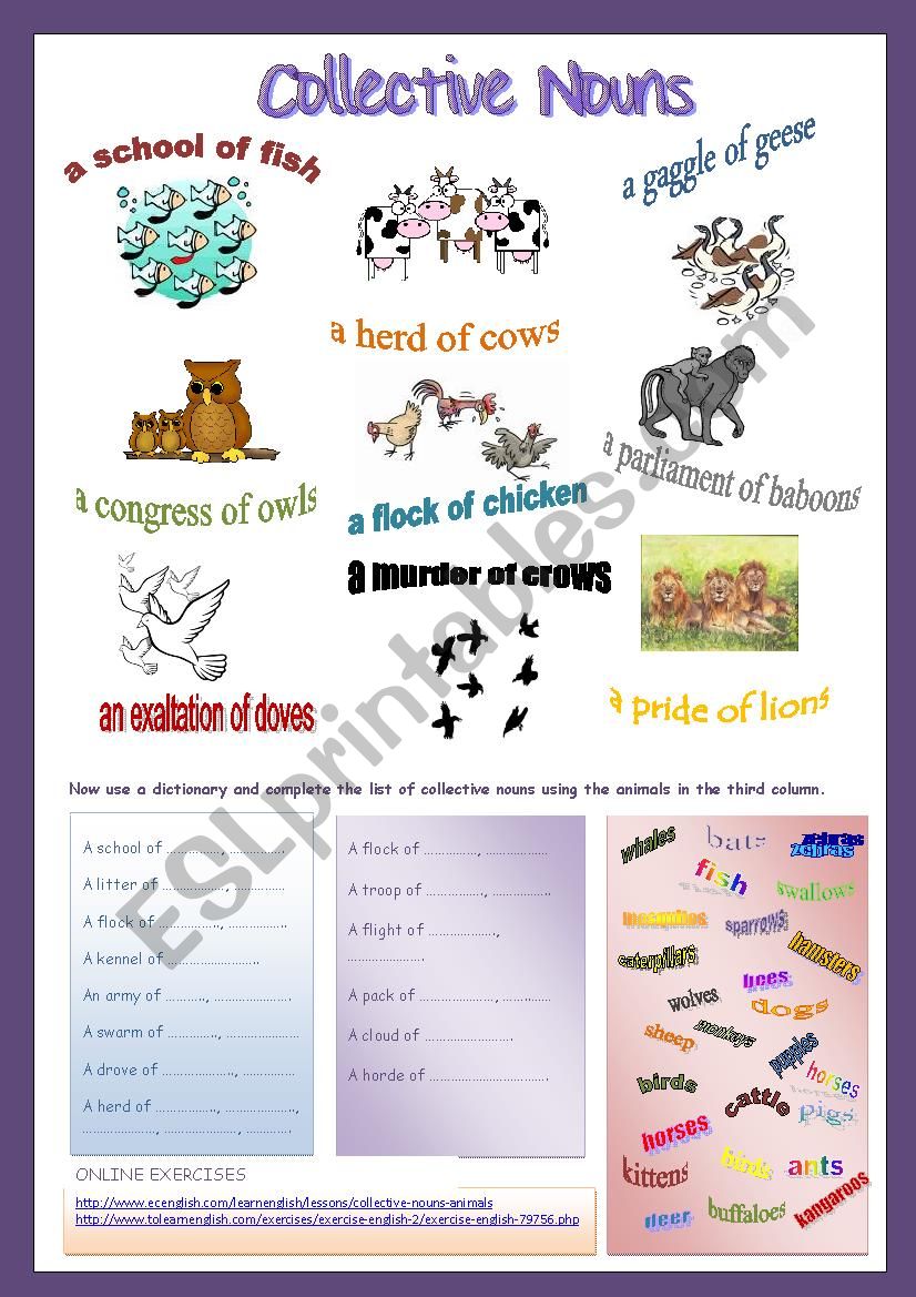 55 Worksheets Of Collective Noun 4