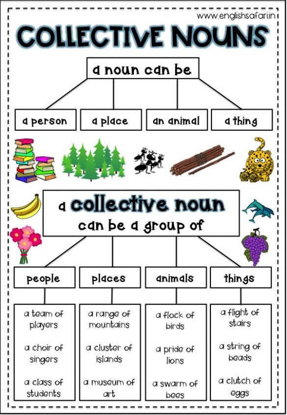 55 Worksheets Of Collective Noun 48