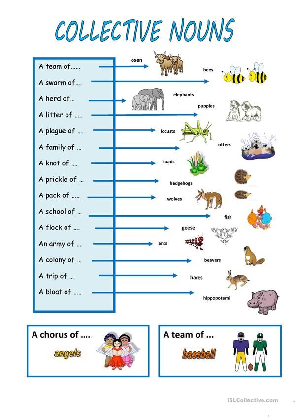 55 Worksheets Of Collective Noun 49