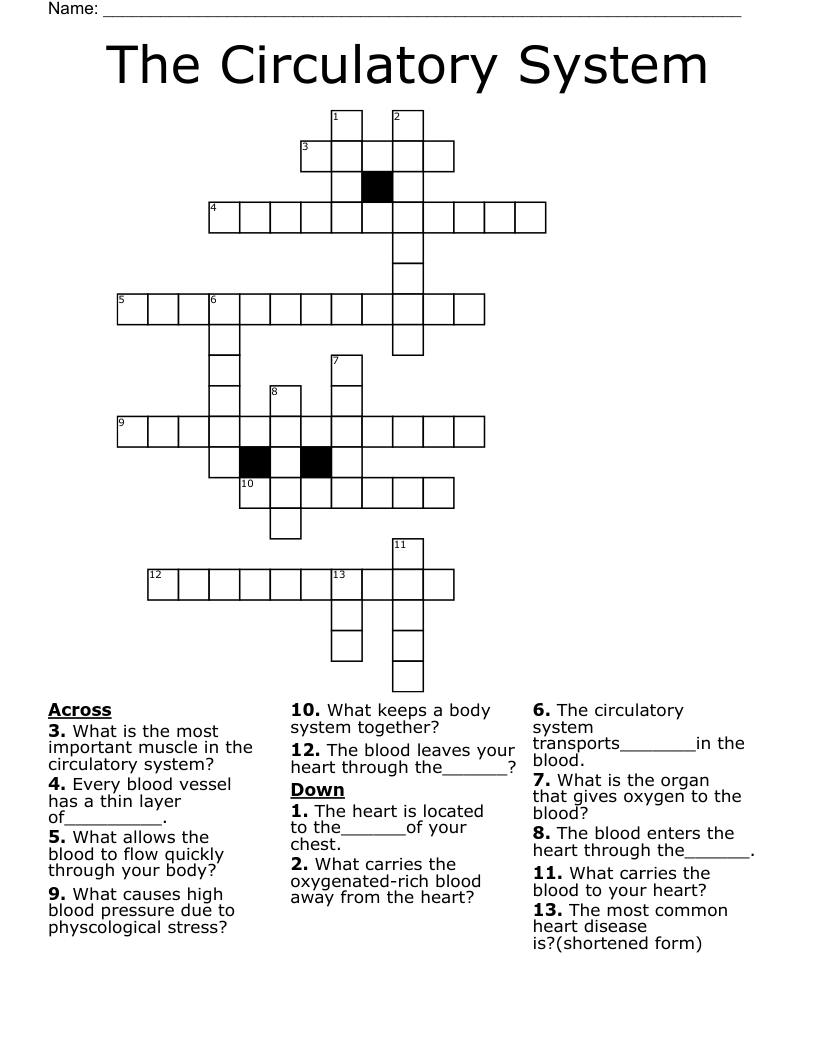 56 Circulatory System Worksheets Answers 10