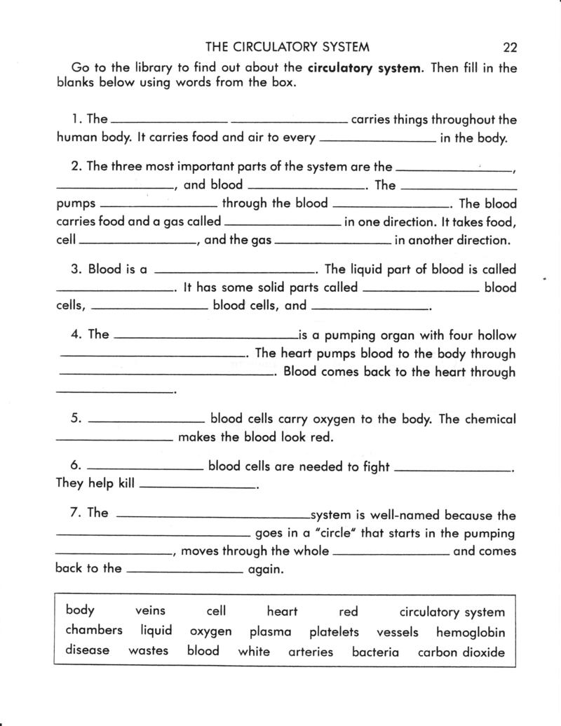 56 Circulatory System Worksheets Answers 21