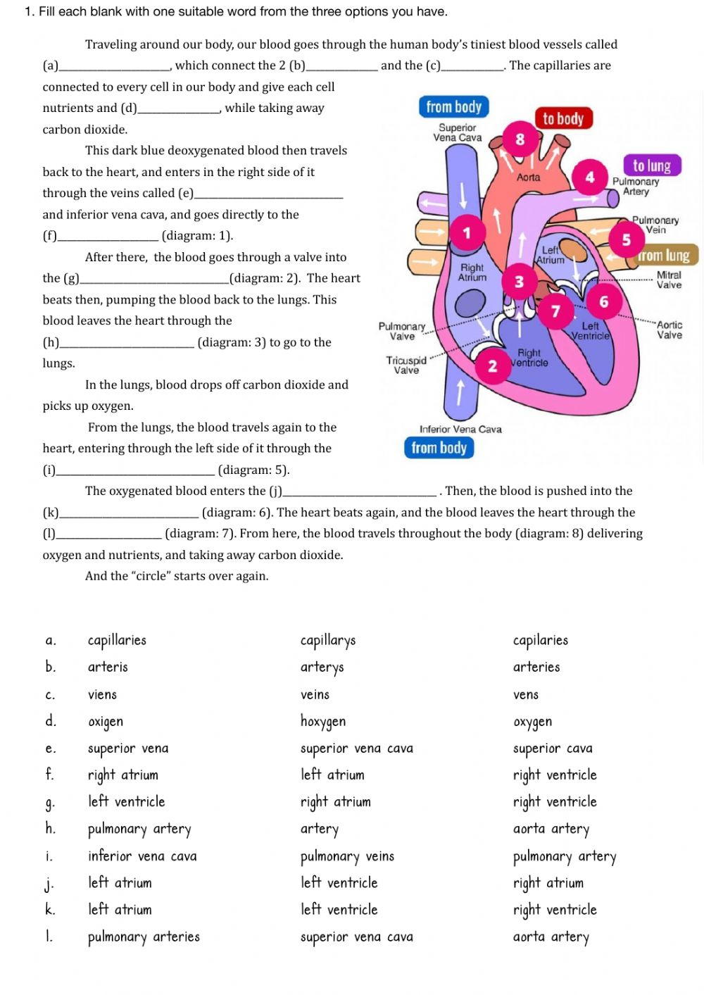 56 Circulatory System Worksheets Answers 23