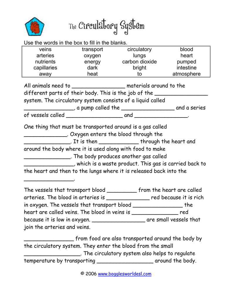 56 Circulatory System Worksheets Answers 24