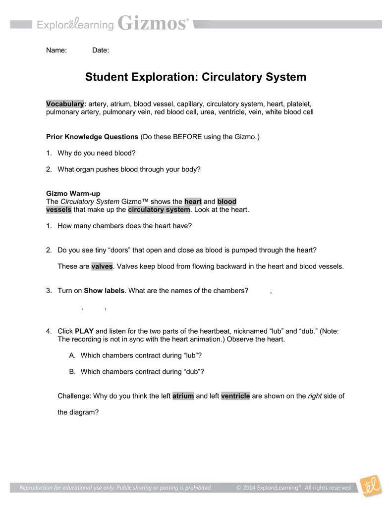 56 Circulatory System Worksheets Answers 28