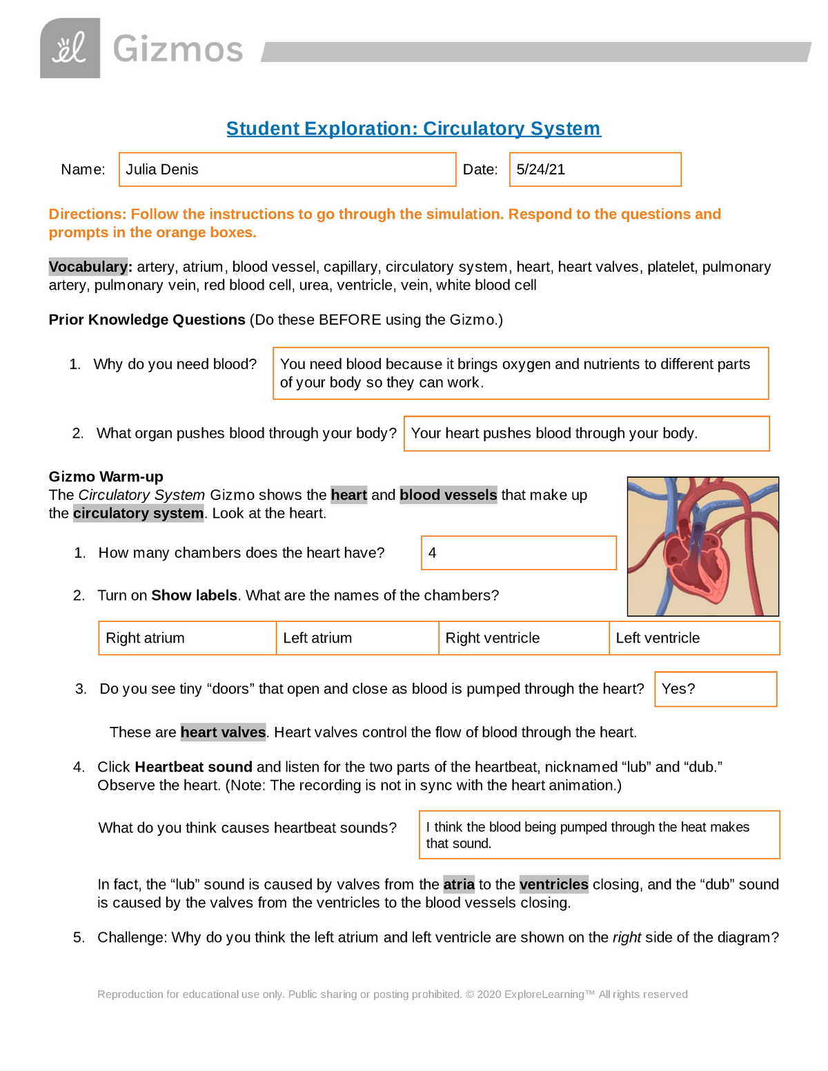 56 Circulatory System Worksheets Answers 43