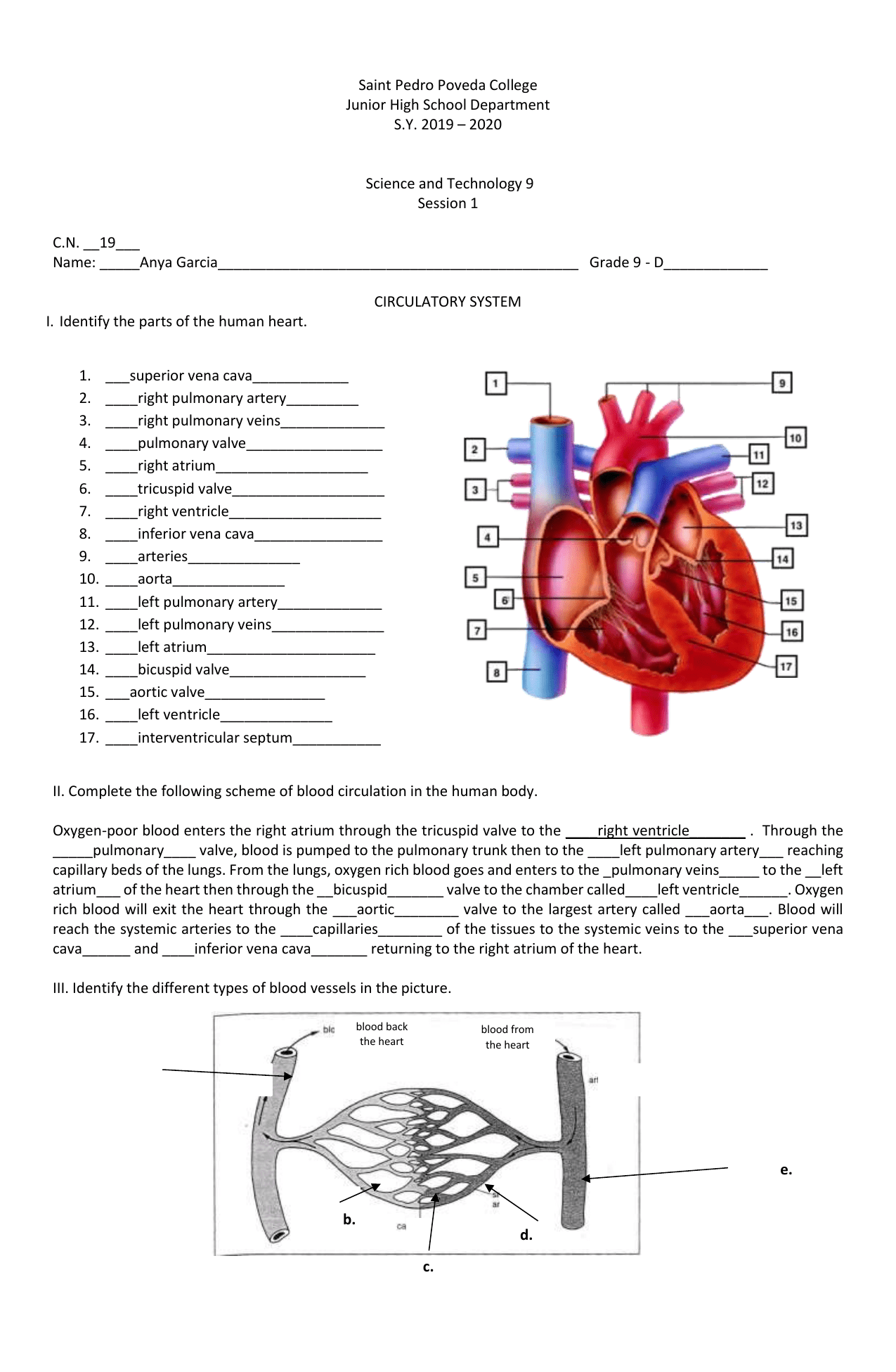 56 Circulatory System Worksheets Answers 45