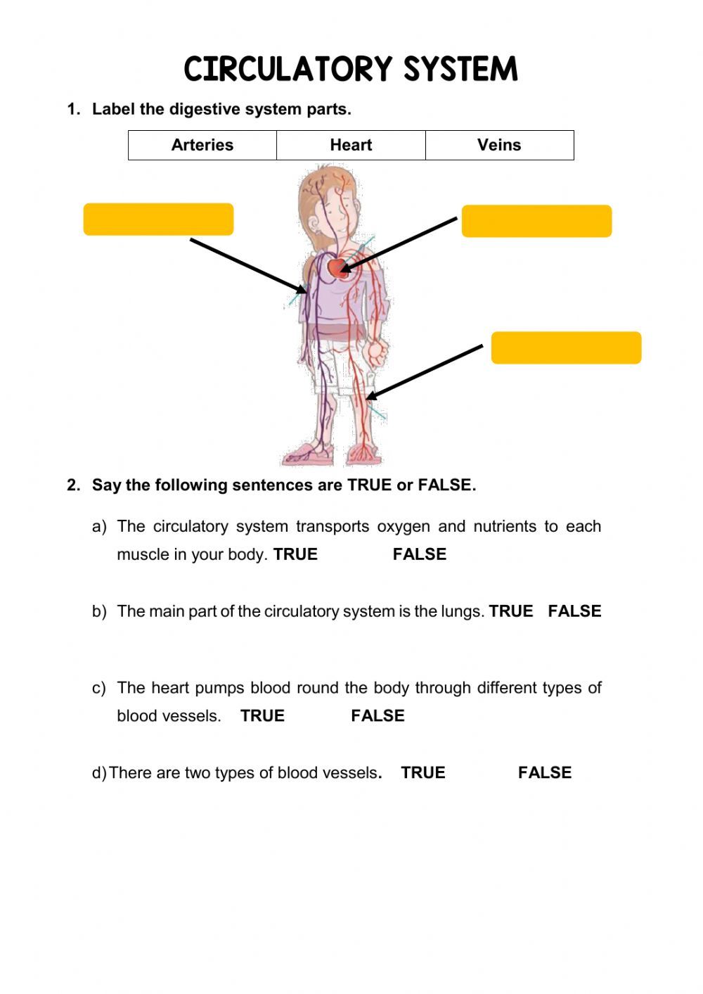 56 Circulatory System Worksheets Answers 48