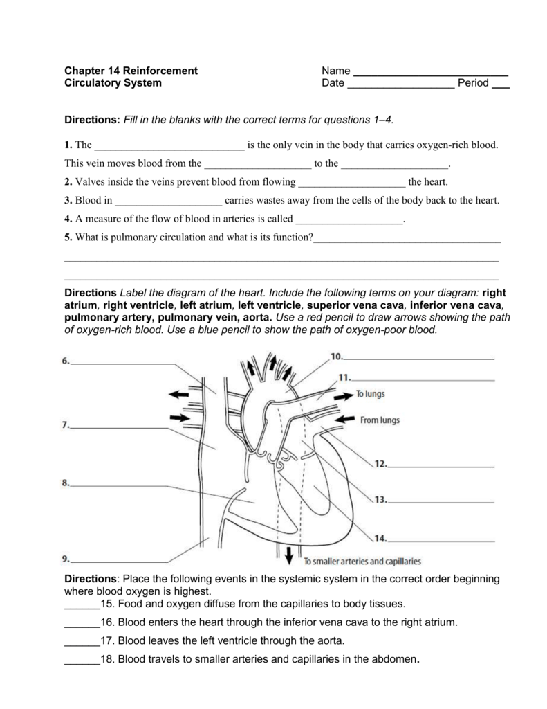 56 Circulatory System Worksheets Answers 53