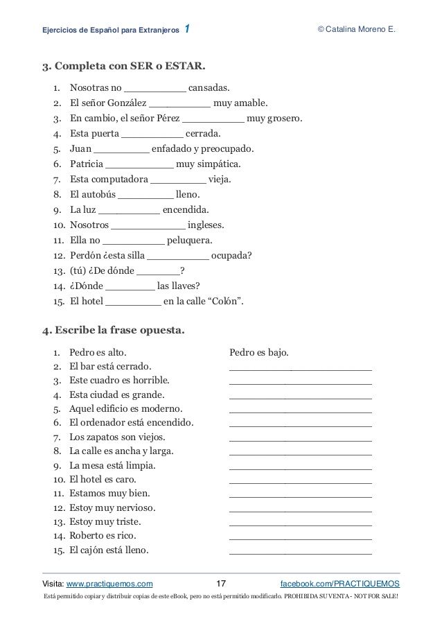 60 El Verbo Ser Worksheets 51