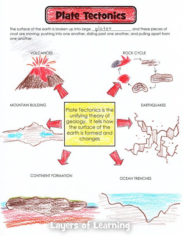 60 Plate Tectonics Worksheets Pdf 49