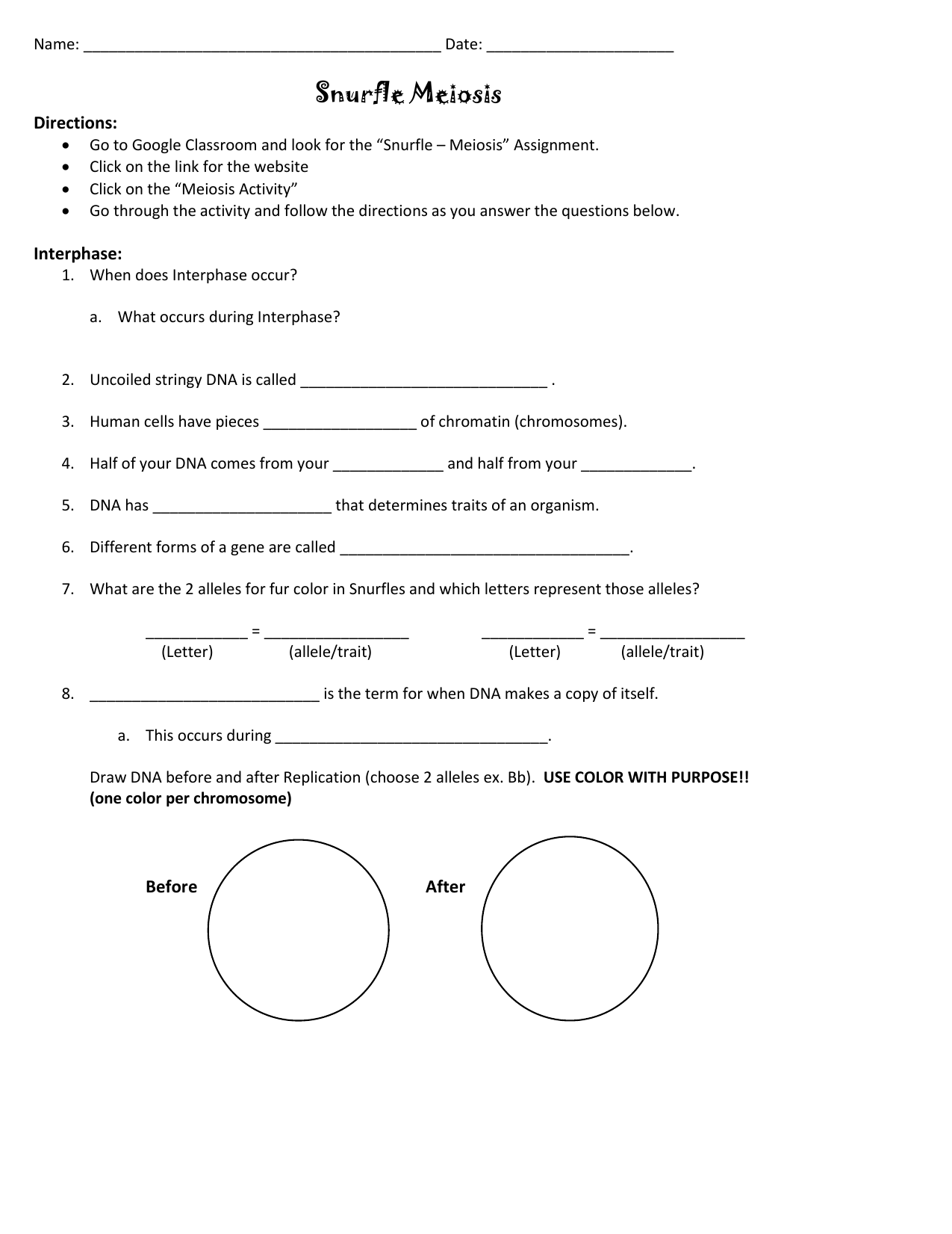 60 Snurfle Meiosis Worksheets Answers 19