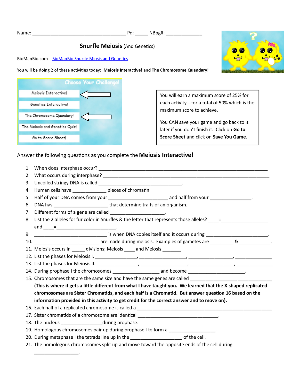 60 Snurfle Meiosis Worksheets Answers 42