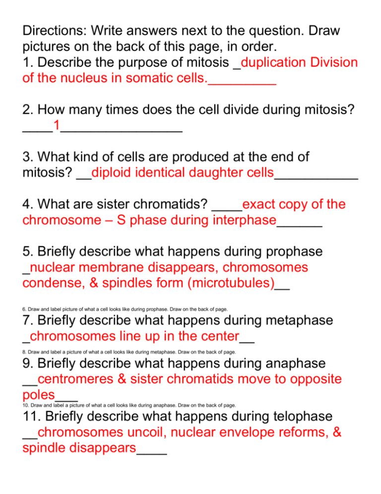 60 Snurfle Meiosis Worksheets Answers 47