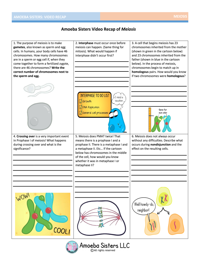 60 Snurfle Meiosis Worksheets Answers 49