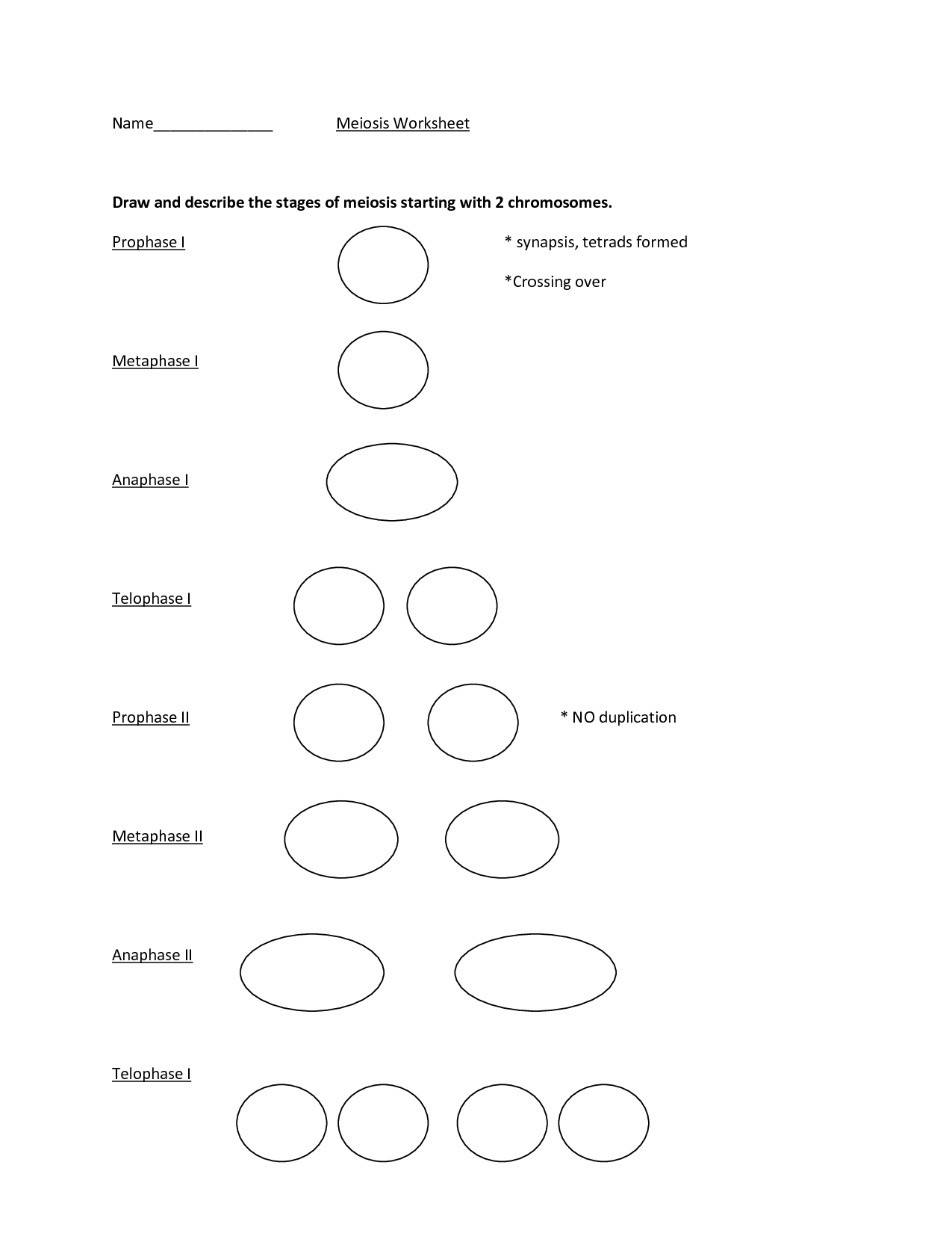 60 Snurfle Meiosis Worksheets Answers 5