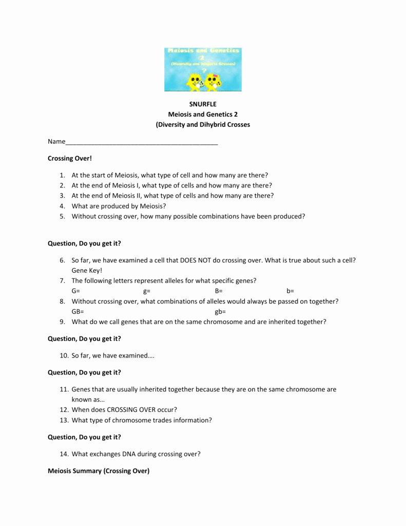 60 Snurfle Meiosis Worksheets Answers 50