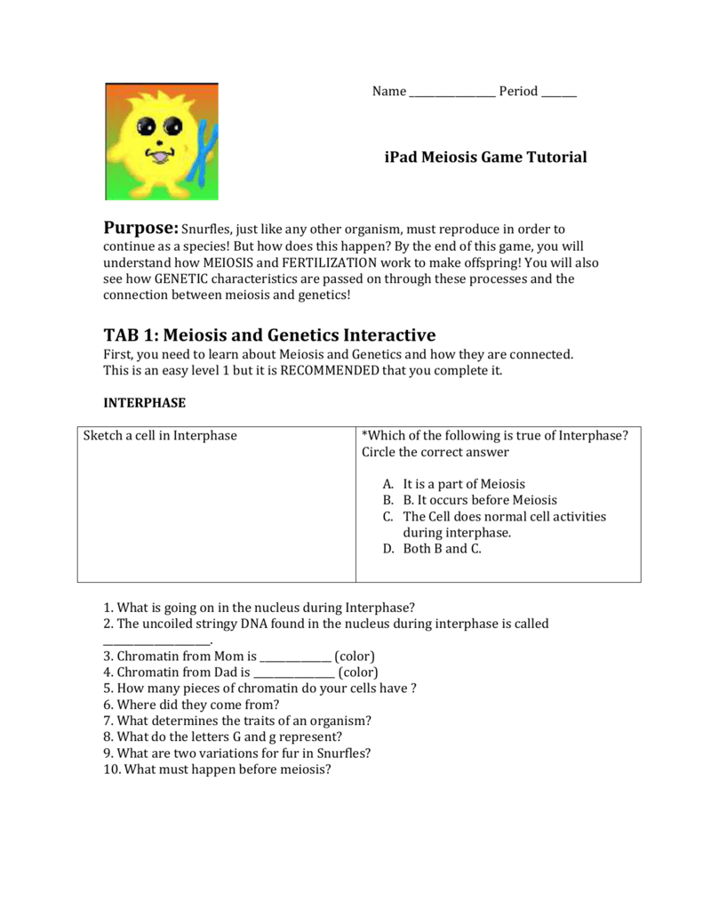 60 Snurfle Meiosis Worksheets Answers 57