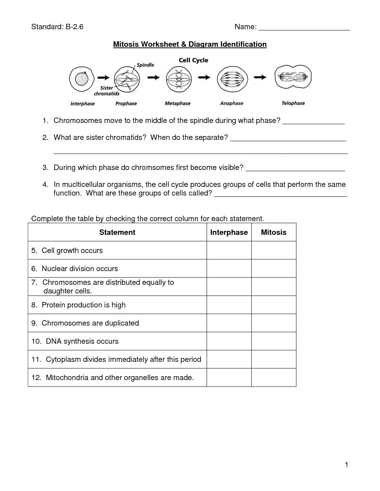 60 Snurfle Meiosis Worksheets Answers 9