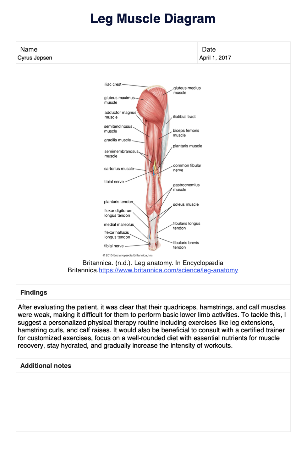 81 Muscle Labeling Worksheets Pdf 43