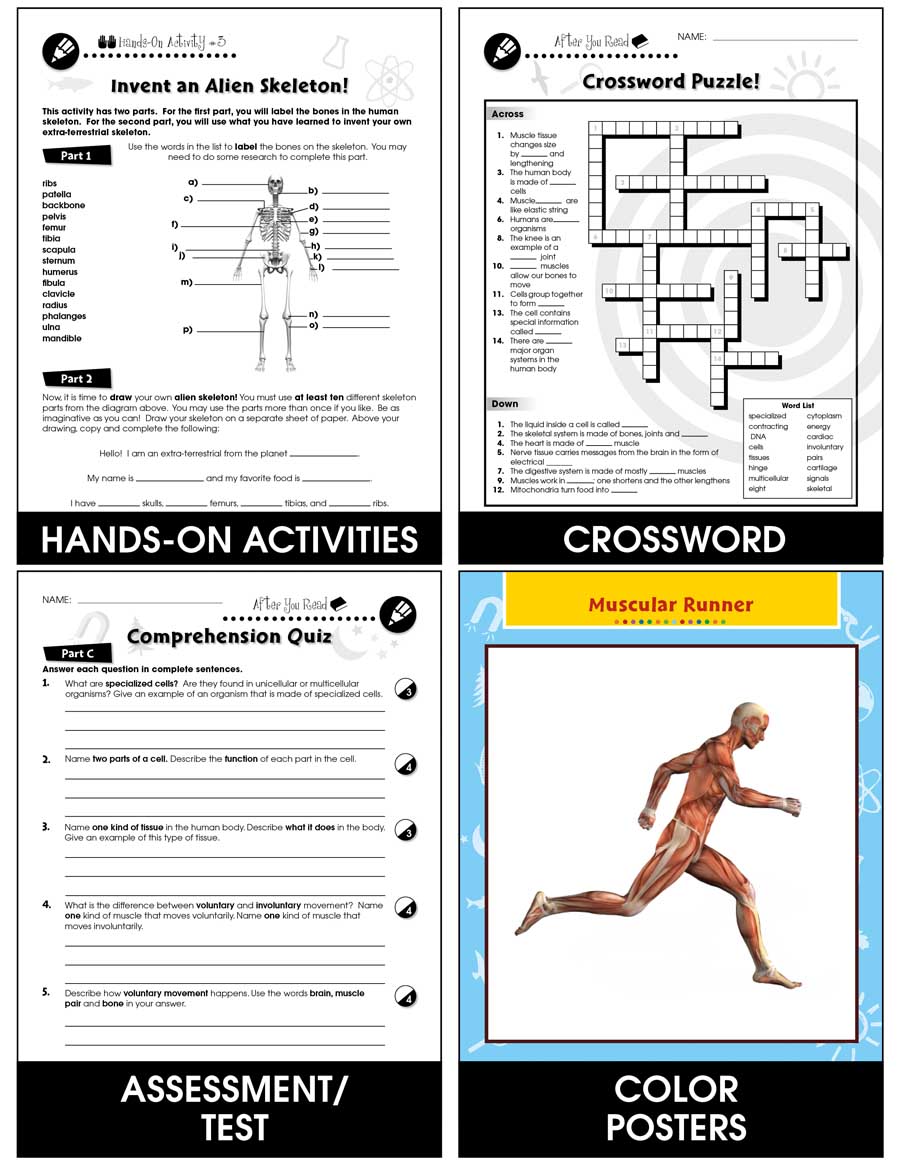 81 Muscle Labeling Worksheets Pdf 69