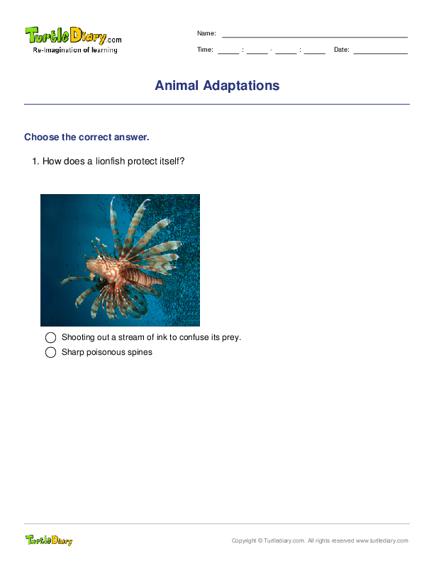 80 Adaptations In Animals Worksheets 14