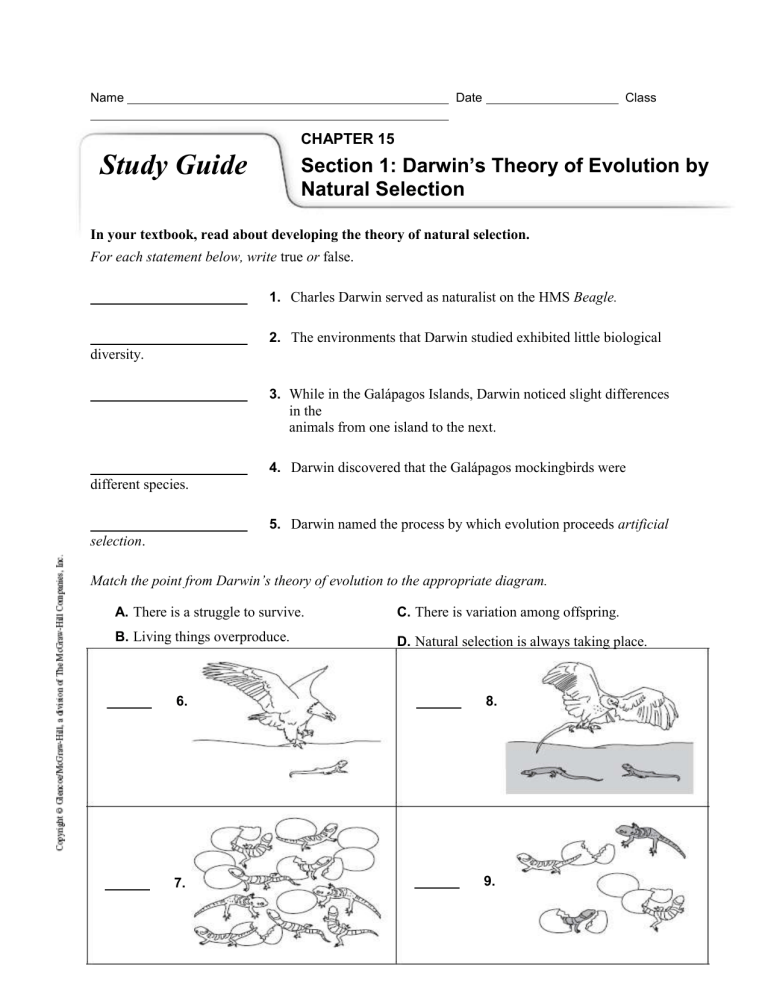 80 Adaptations In Animals Worksheets 20