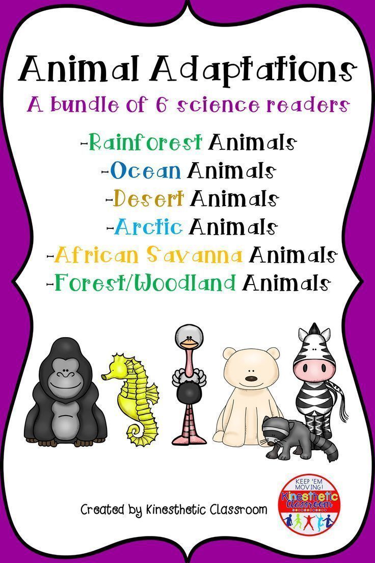 80 Adaptations In Animals Worksheets 23