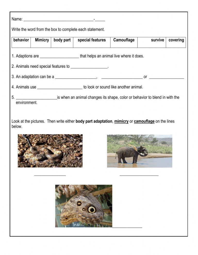 80 Adaptations In Animals Worksheets 30