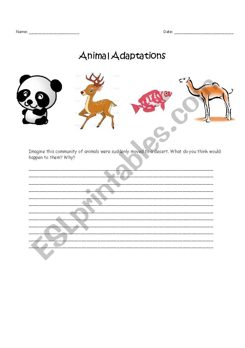 80 Adaptations In Animals Worksheets 34